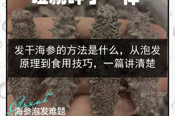 发干海参的方法是什么,从泡发原理到食用技巧,一篇讲清楚