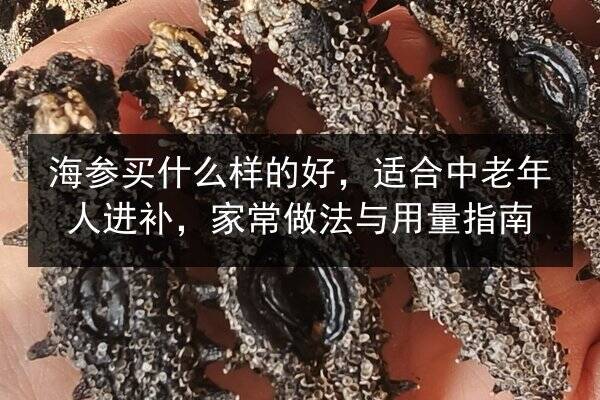 海参买什么样的好，适合中老年人进补，家常做法与用量指南