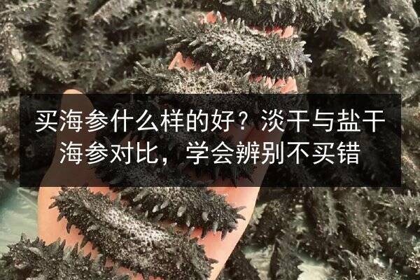 买海参什么样的好？淡干与盐干海参对比，学会辨别不买错