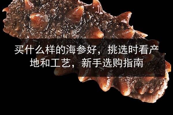 买什么样的海参好,挑选时看产地和工艺,新手选购指南
