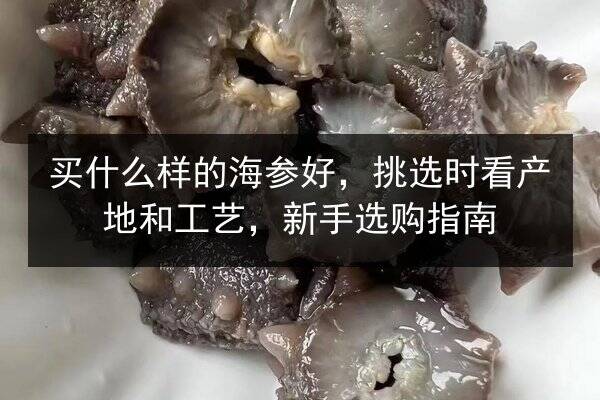 买什么样的海参好,挑选时看产地和工艺,新手选购指南
