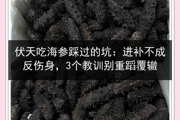 伏天吃海参踩过的坑：进补不成反伤身，3个教训别重蹈覆辙