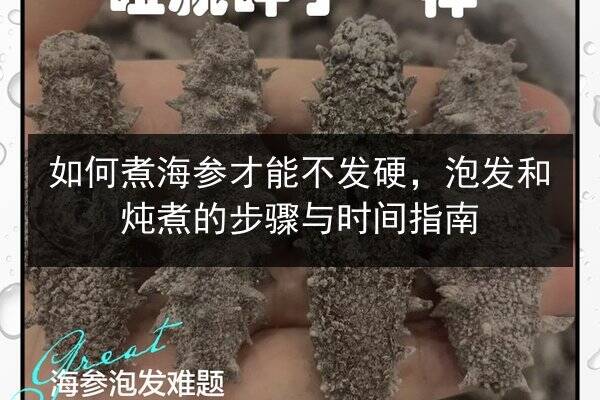 如何煮海参才能不发硬，泡发和炖煮的步骤与时间指南