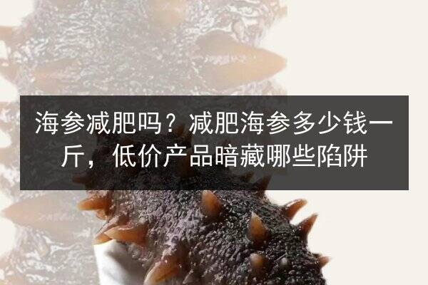 海参减肥吗?减肥海参多少钱一斤,低价产品暗藏哪些陷阱