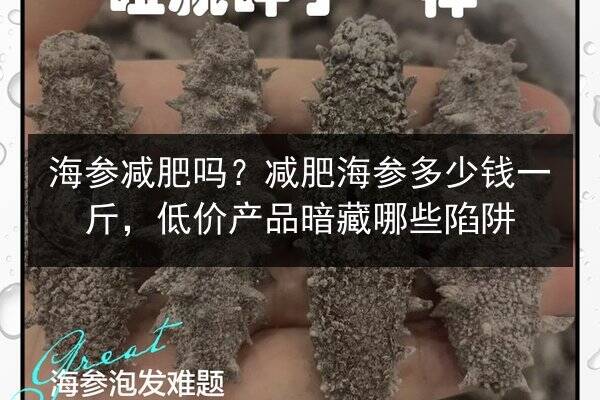 海参减肥吗?减肥海参多少钱一斤,低价产品暗藏哪些陷阱