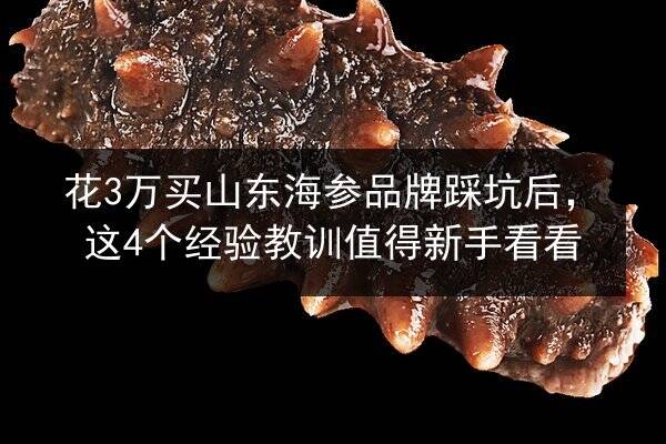 花3万买山东海参品牌踩坑后,这4个经验教训值得新手看看