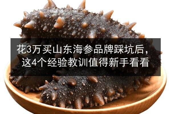 花3万买山东海参品牌踩坑后,这4个经验教训值得新手看看