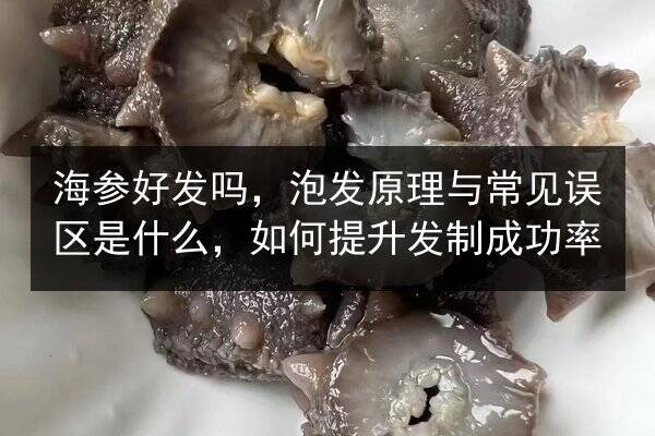 海参好发吗,泡发原理与常见误区是什么,如何提升发制成功率
