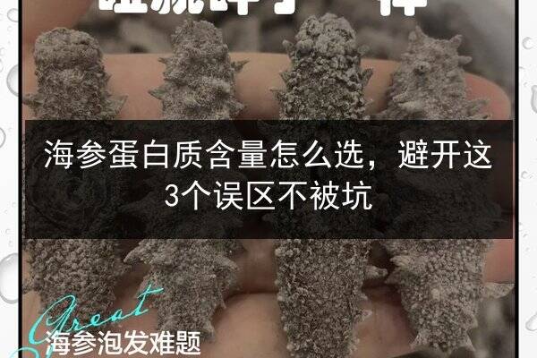 海参蛋白质含量怎么选，避开这3个误区不被坑
