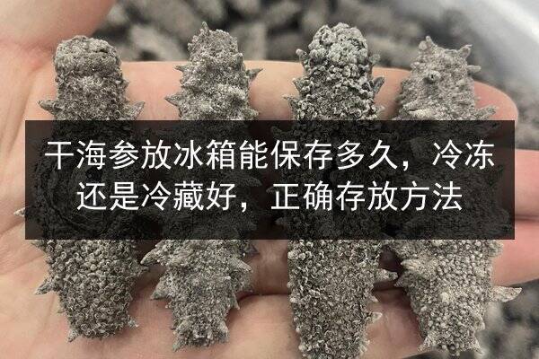 干海参放冰箱能保存多久,冷冻还是冷藏好,正确存放方法