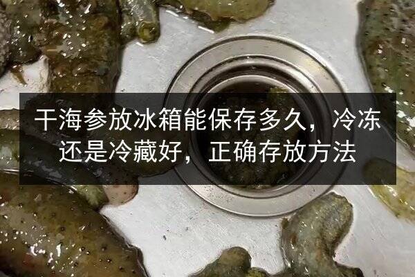 干海参放冰箱能保存多久,冷冻还是冷藏好,正确存放方法