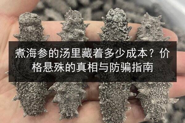 煮海参的汤里藏着多少成本?价格悬殊的真相与防骗指南