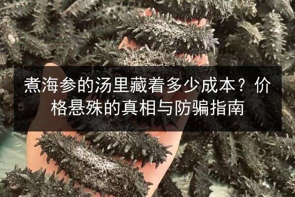 煮海参的汤里藏着多少成本?价格悬殊的真相与防骗指南