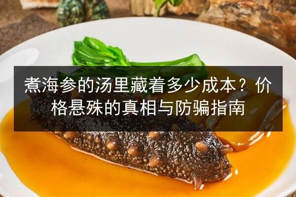 煮海参的汤里藏着多少成本?价格悬殊的真相与防骗指南