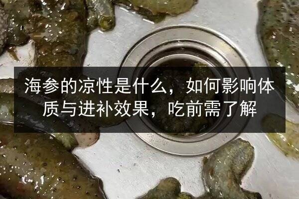 海参的凉性是什么,如何影响体质与进补效果,吃前需了解