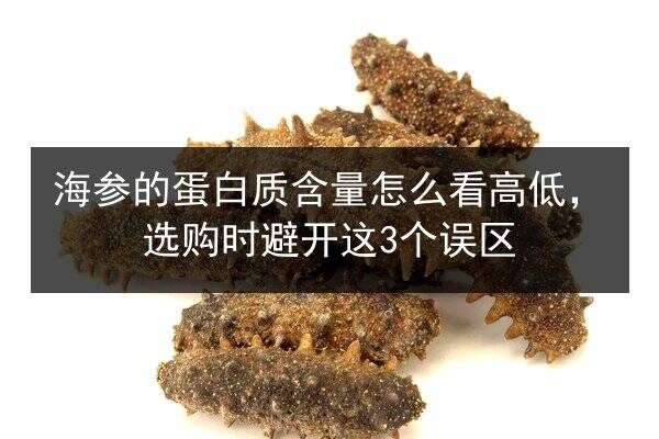 海参的蛋白质含量怎么看高低,选购时避开这3个误区