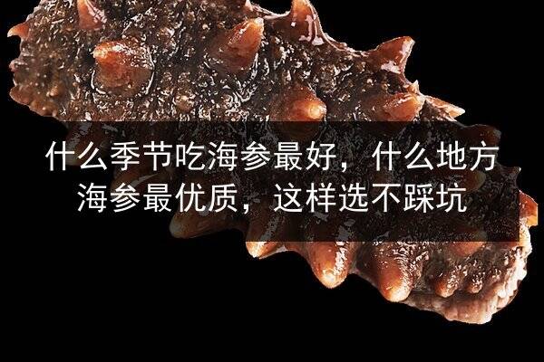 什么季节吃海参最好,什么地方海参最优质,这样选不踩坑