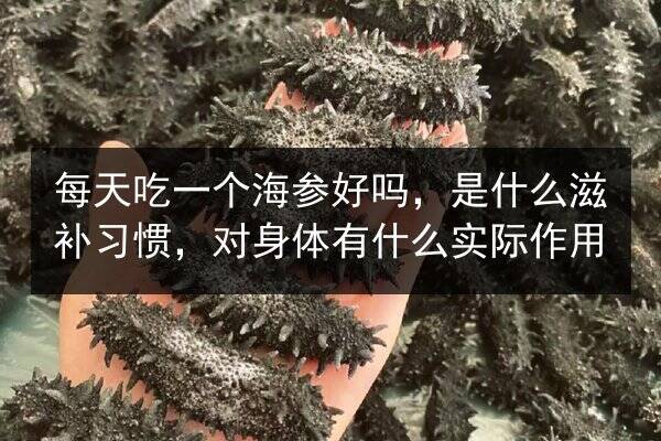每天吃一个海参好吗,是什么滋补习惯,对身体有什么实际作用