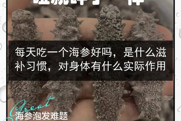 每天吃一个海参好吗,是什么滋补习惯,对身体有什么实际作用