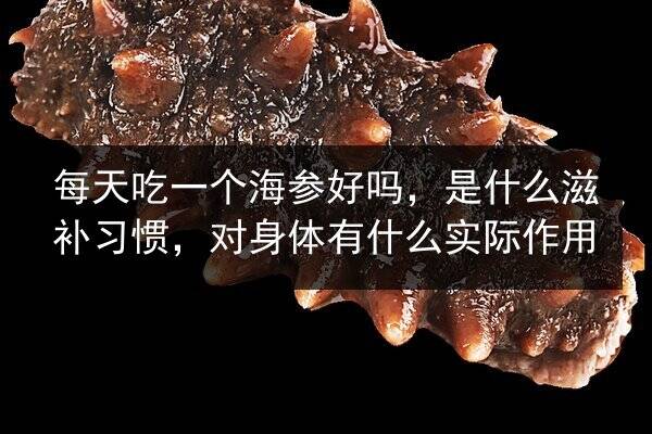 每天吃一个海参好吗,是什么滋补习惯,对身体有什么实际作用