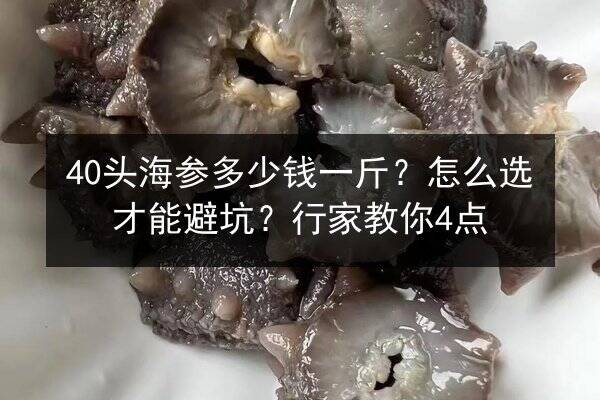 40头海参多少钱一斤?怎么选才能避坑?行家教你4点