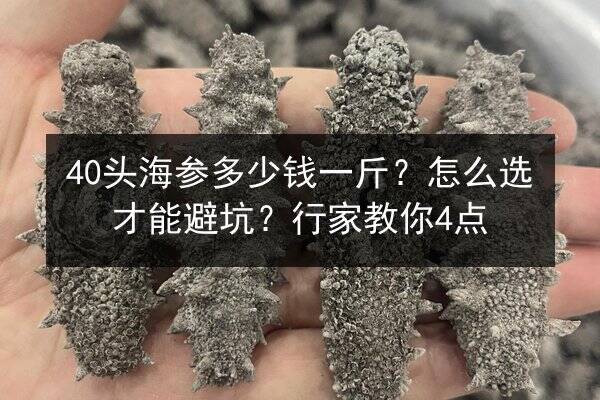 40头海参多少钱一斤?怎么选才能避坑?行家教你4点