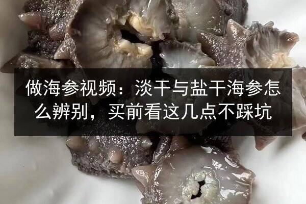 做海参视频：淡干与盐干海参怎么辨别，买前看这几点不踩坑