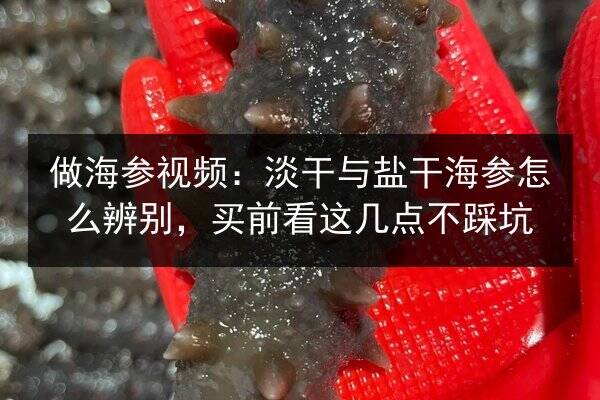 做海参视频：淡干与盐干海参怎么辨别，买前看这几点不踩坑