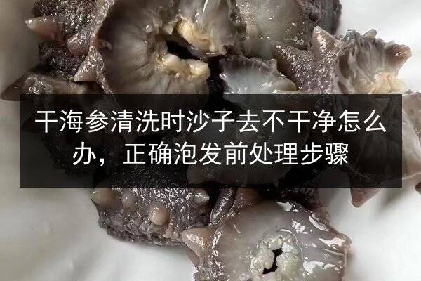 干海参清洗时沙子去不干净怎么办，正确泡发前处理步骤