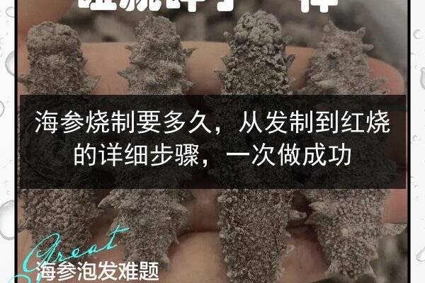 海参烧制要多久,从发制到红烧的详细步骤,一次做成功