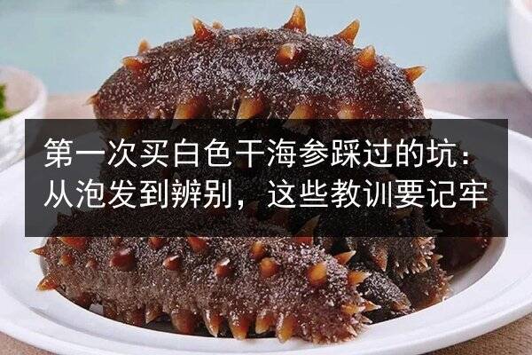 第一次买白色干海参踩过的坑:从泡发到辨别,这些教训要记牢