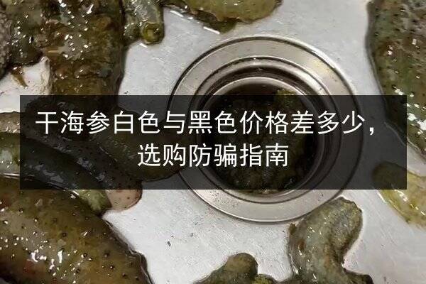 干海参白色与黑色价格差多少,选购防骗指南