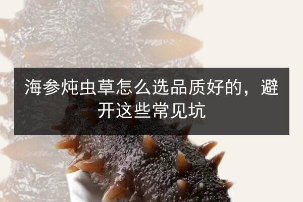 海参炖虫草怎么选品质好的，避开这些常见坑