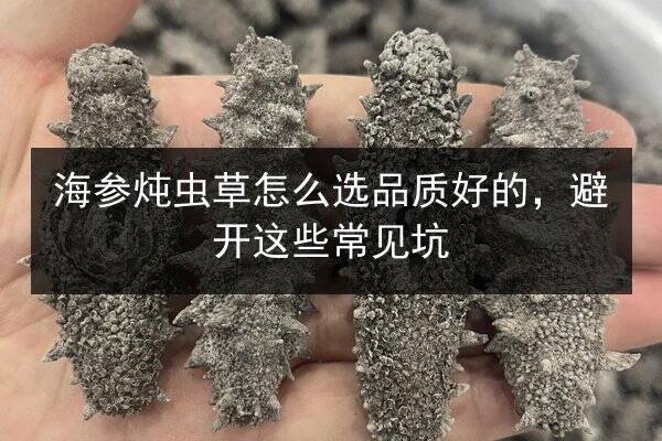 海参炖虫草怎么选品质好的，避开这些常见坑