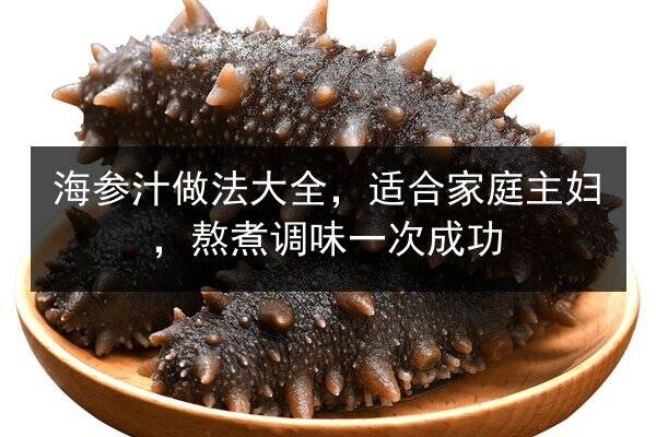 海参汁做法大全,适合家庭主妇,熬煮调味一次成功