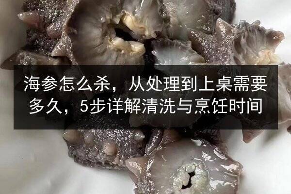 海参怎么杀,从处理到上桌需要多久,5步详解清洗与烹饪时间