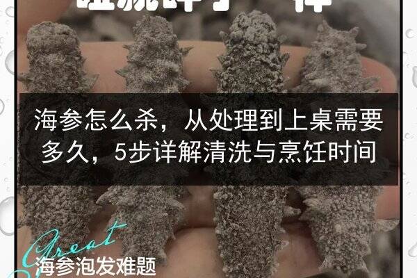 海参怎么杀,从处理到上桌需要多久,5步详解清洗与烹饪时间