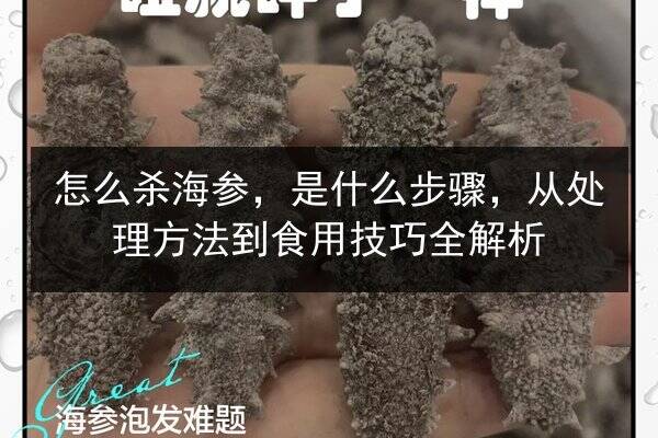 怎么杀海参,是什么步骤,从处理方法到食用技巧全解析