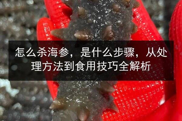 怎么杀海参,是什么步骤,从处理方法到食用技巧全解析