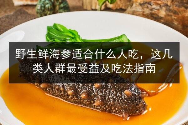 野生鲜海参适合什么人吃,这几类人群最受益及吃法指南