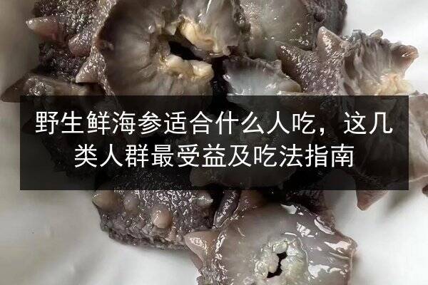 野生鲜海参适合什么人吃,这几类人群最受益及吃法指南