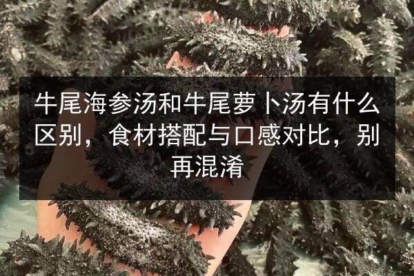 牛尾海参汤和牛尾萝卜汤有什么区别,食材搭配与口感对比,别再混淆
