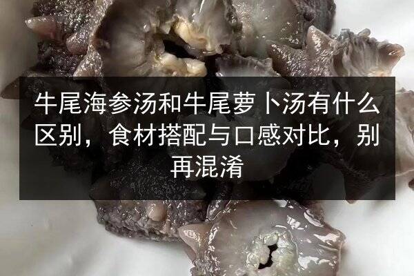 牛尾海参汤和牛尾萝卜汤有什么区别,食材搭配与口感对比,别再混淆