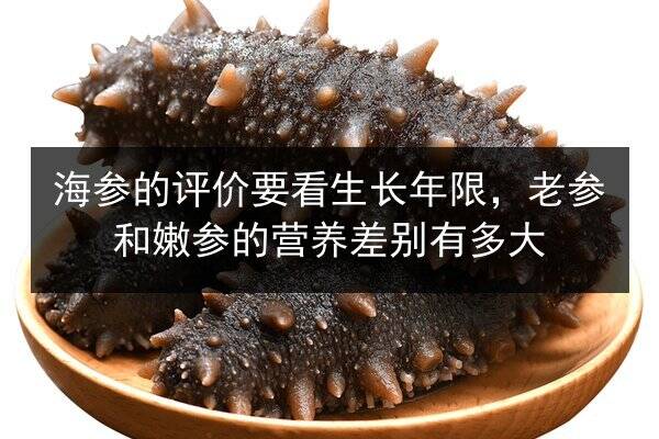 海参的评价要看生长年限，老参和嫩参的营养差别有多大