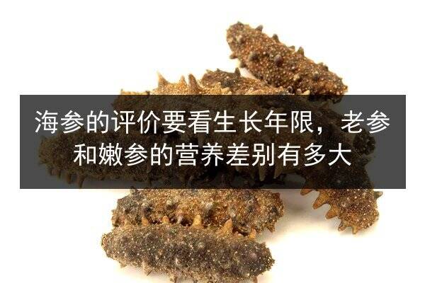 海参的评价要看生长年限，老参和嫩参的营养差别有多大