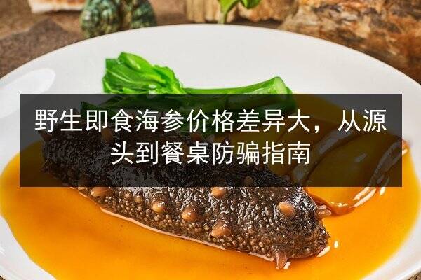 野生即食海参价格差异大,从源头到餐桌防骗指南