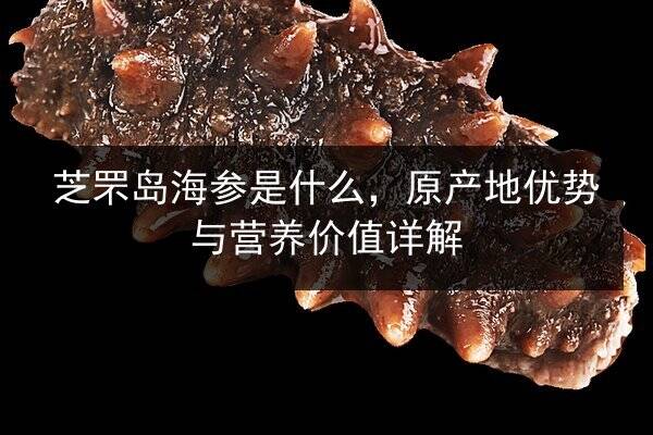 芝罘岛海参是什么,原产地优势与营养价值详解