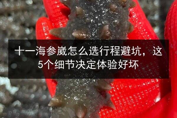 十一海参崴怎么选行程避坑，这5个细节决定体验好坏