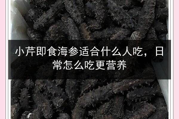 小芹即食海参适合什么人吃，日常怎么吃更营养