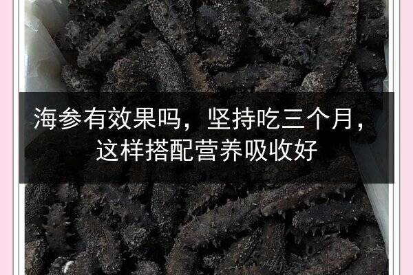海参有效果吗,坚持吃三个月,这样搭配营养吸收好